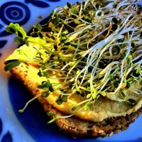 hummus and sprouts|Gabiさん