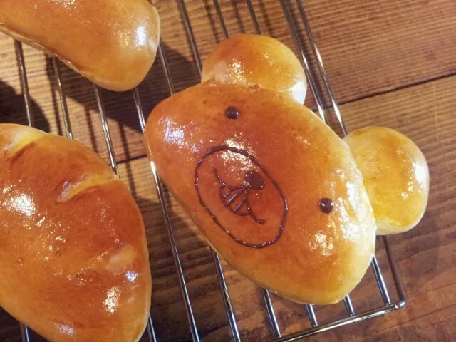 なんかいたー!|ちぇんさん