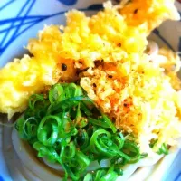 冷やしうどん|しのさん