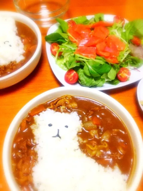 サーモンカルパッチョサラダとアルパカレー|まいさん