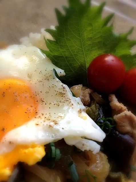 Snapdishの料理写真:豚と野菜の焼肉丼|はなさん