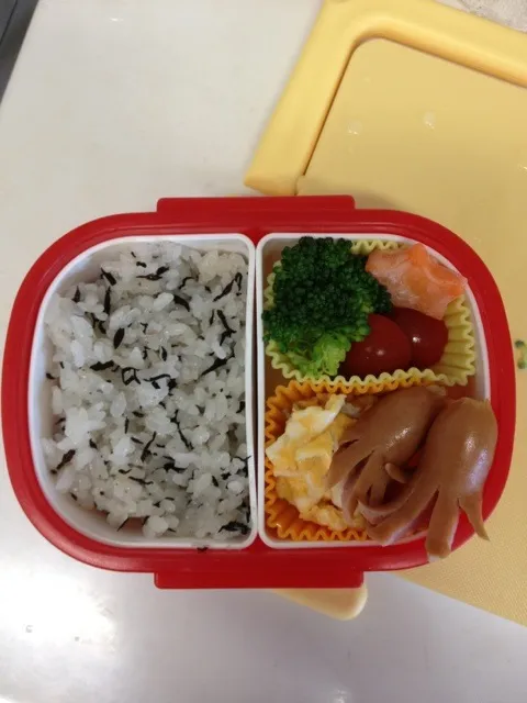 Snapdishの料理写真:0528唯月お弁当|reinaさん