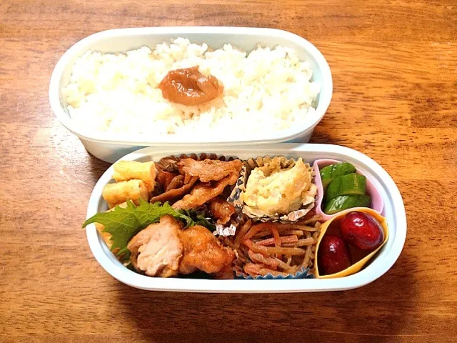 5月29日のお弁当|びーぴーえすさん