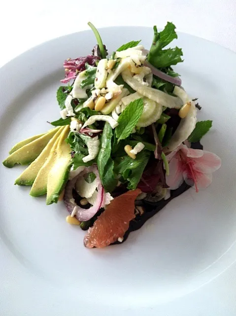 FENNEL AND GRAPEFRUIT SALD w/ FETA. PINENUT AND AVOCADO|GREG ARNOLDさん