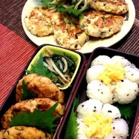 Snapdishの料理写真:豆腐ハンバーグ弁当