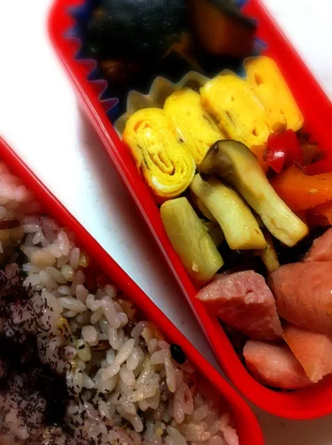 本日のお弁当|まりもさん