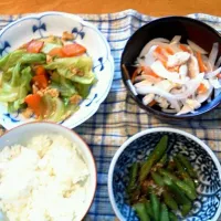 Snapdishの料理写真:【透析食】蒸し鶏のマリネ・キャベツのカレー風味ソテー・さやいんげんのおひたし|ゆみりんさん