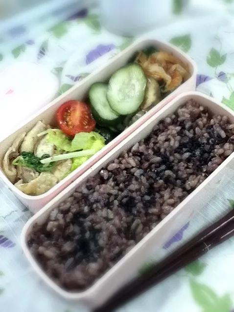 今日のOL弁当は神楽坂五十番の棒々鶏|hoppycowさん