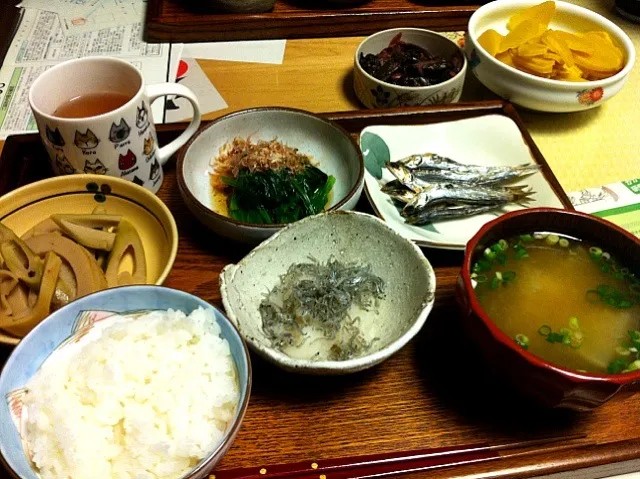 実家にごはんどきにアポなし訪問してみたら、寺の食事みたいなのが出てきたです(￣▽￣)粗食！健康！|てつこさん