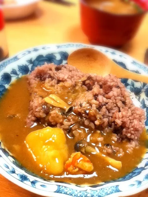 朝カレー！豆入り玄米雑穀ごはんで^^|hoppycowさん