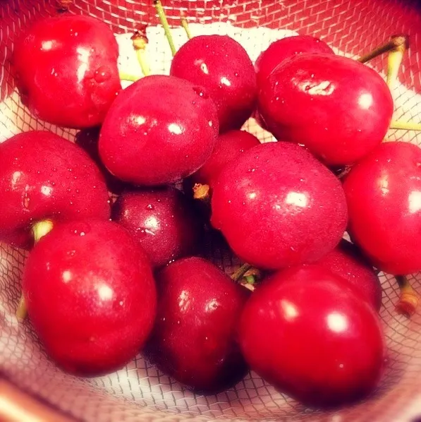 アメリカンチェリー|佳奈さん