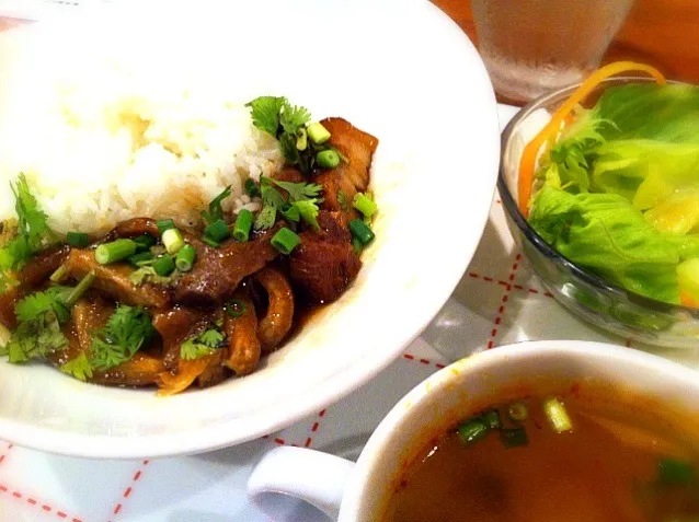 トロトロ豚煮ご飯(カオカームー)。パクチー♪サラダはナンプラーくさいし♪トムヤムスープは辛酸っぱいし♪|liccaさん