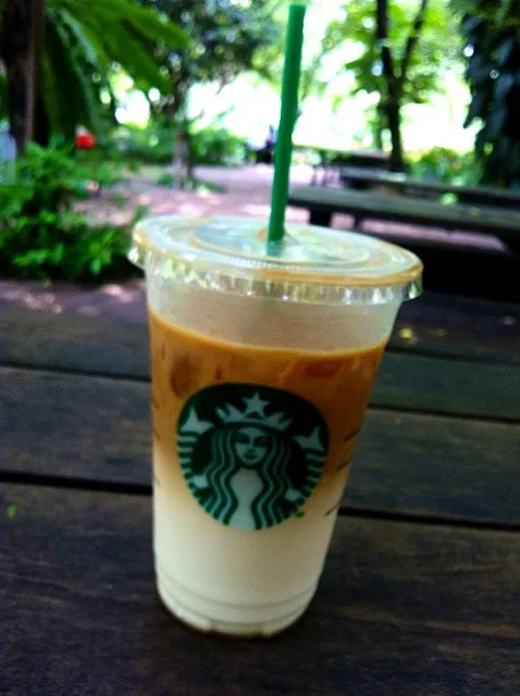 Ice Starbucks|instagram:dominick5575さん