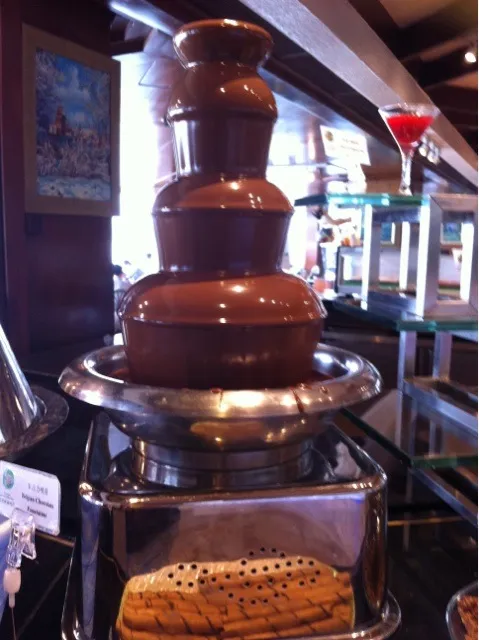 Snapdishの料理写真:chocolate fountain|Erica Chenさん