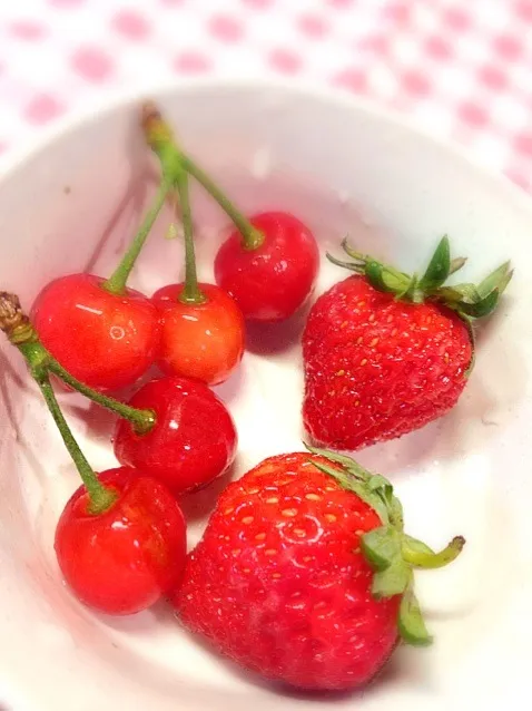 田舎でとれた小粒イチゴ＆小粒さくらんぼ|萌♡さん