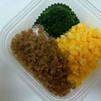 Snapdishの料理写真:鶏そぼろ弁当|やまじゅんさん