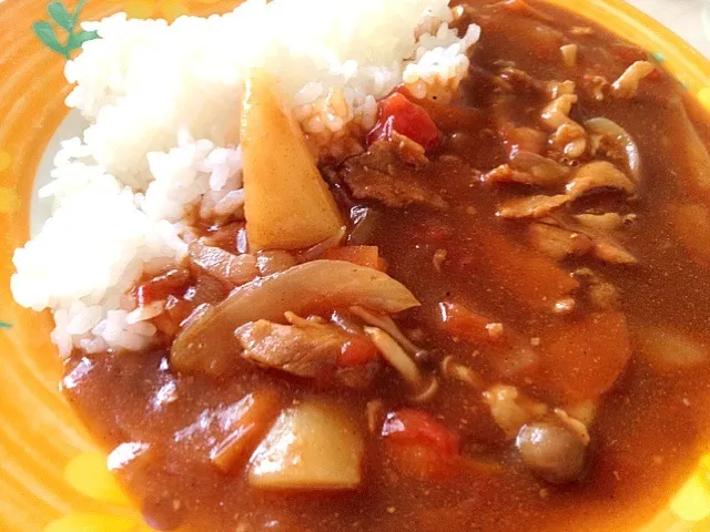 カレーの日なのでトマトカレー|ぬぬ。さん