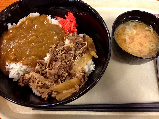 カレーの日なので牛丼カレーセット|ぬぬ。さん