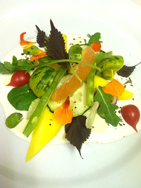 PERILLA AND MANGO SALAD|GREG ARNOLDさん