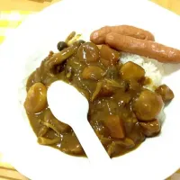 Snapdishの料理写真:ウィーン風カレー|MoisMoisさん