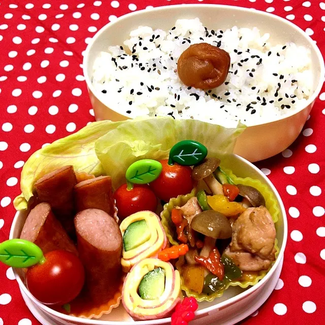 中華炒めとキュウリのハムチーズ巻き弁当|🍎ゆかりんご🍎さん