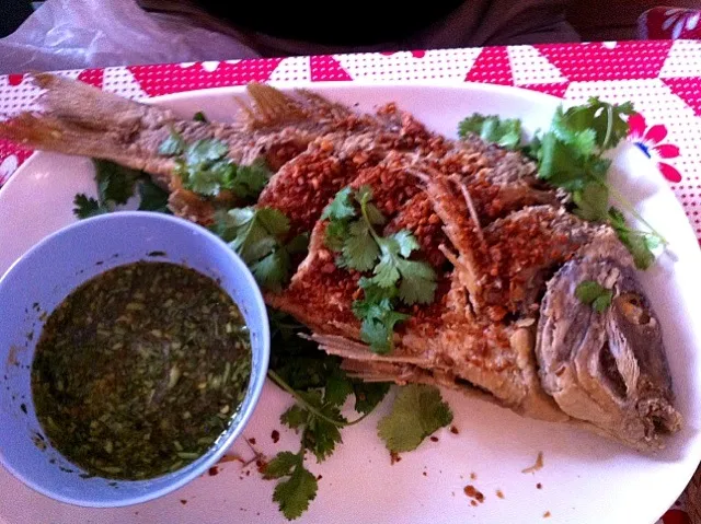 whole porgy with fried garlic|michael nassarさん