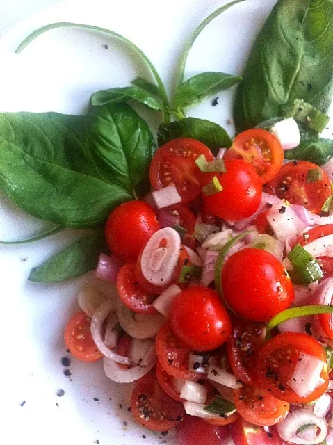 tomato onion salad on a bed of basil|ReciBellaさん