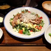 Snapdishの料理写真:pan fried grilled chicken salad.|toodpleumさん