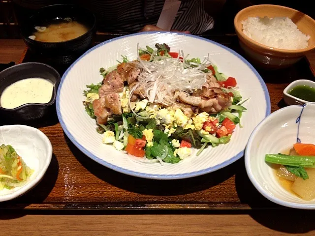 pan fried grilled chicken salad.|toodpleumさん