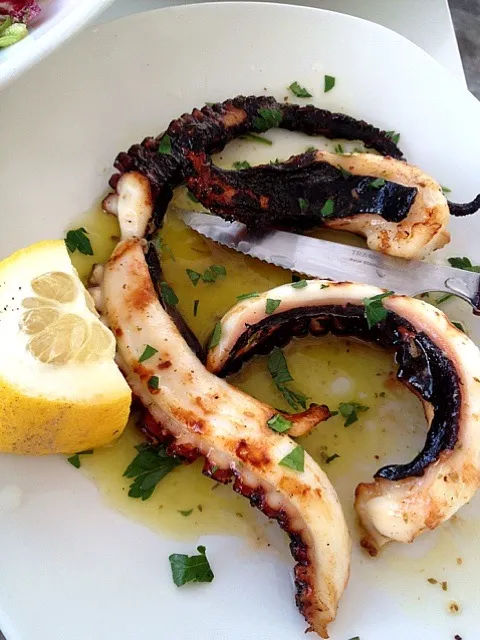 Grilled Octopus|David Armondさん