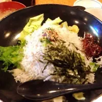 Snapdishの料理写真:釜あげシラス丼|araさん