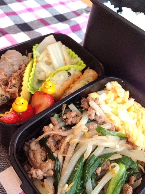 Snapdishの料理写真:お弁当。豚ひき肉とニラもやしのオイスタ炒め、スクランブルエッグ、蒟蒻とはんぺんのおかか和え、白菜サラダ、コロッケ(冷食)、苺。|himaさん