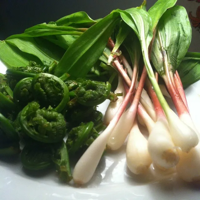 fiddleheads & ramps|scott winegardさん