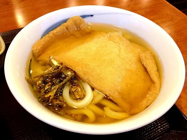 Snapdishの料理写真:きつねうどん|みさとさん