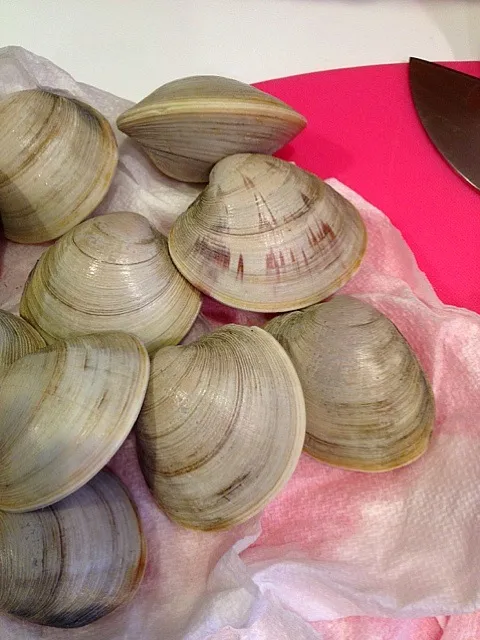 little necks...love New England seafood|kateさん