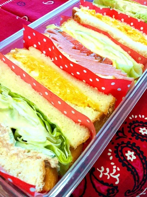 Snapdishの料理写真:今日の息子のお弁当2012/06/07|ミホさん