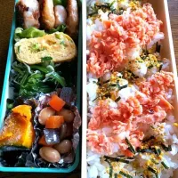 Snapdishの料理写真:今日の娘弁当