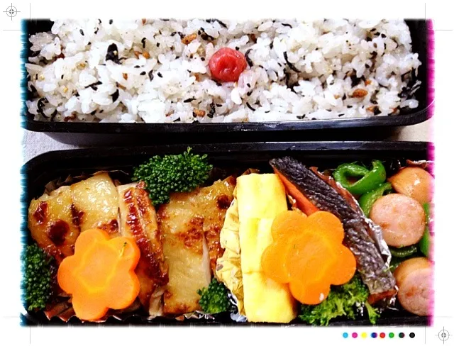 Snapdishの料理写真:鶏肉の塩麹焼きパパのお弁当|あかりんこさん