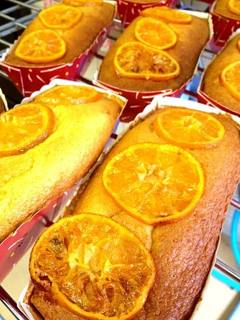 御島名物、みかんケーキ|あいらんどさん