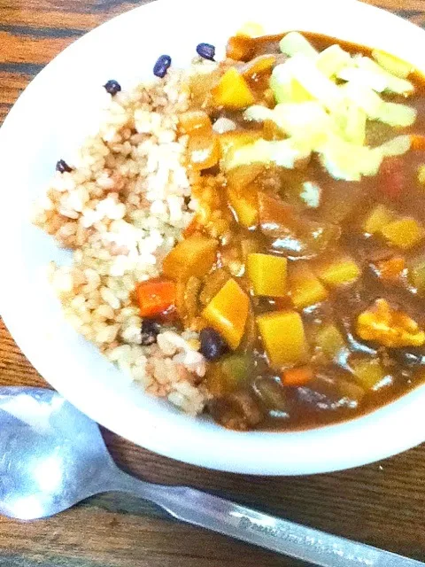 Snapdishの料理写真:カレー with 玄米|ku_mahirokiさん