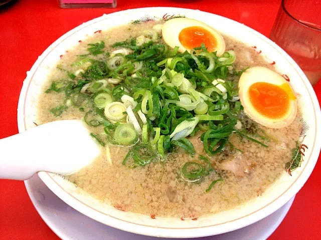 特製醤油味玉ラーメン(並)|dodさん