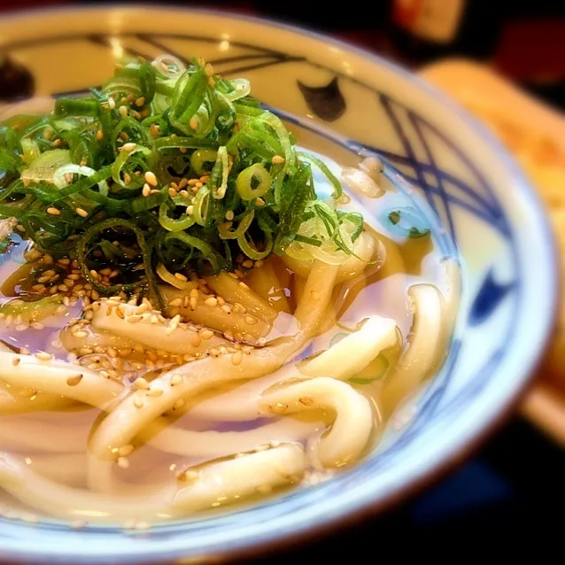 かけうどん＊丸亀製麺|mackoさん