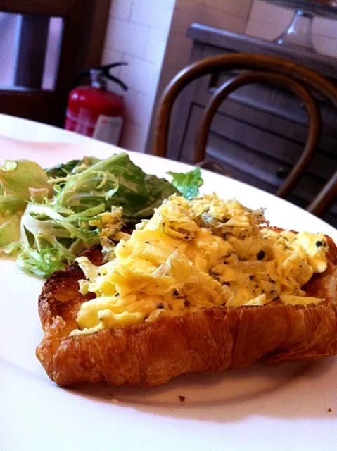 Truffled Eggs Croissant|stephnさん