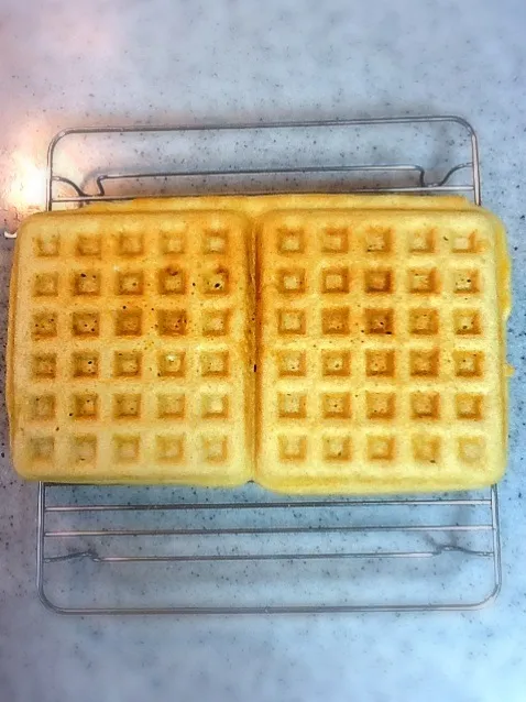 hojicha waffles|Kirsten Adachiさん