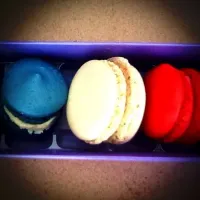 macarons|davide quadrelliさん