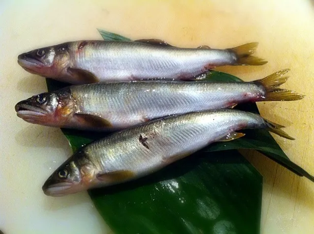 |天理 創作和食 すず美さん