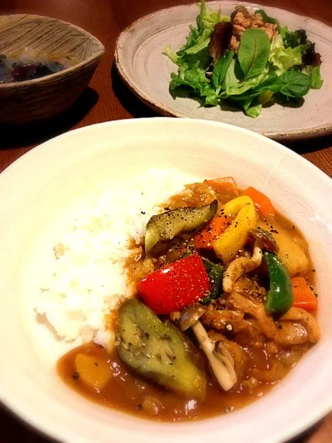 Snapdishの料理写真:9種類の野菜とチキンのカレー＆ツナめかぶサラダ|akuomamさん