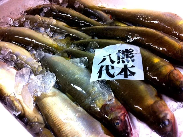 焼き魚は天然の鮎が入りました。鰹出汁に塩っけをプラスして漬け込み焼きます。香りが天然はさすが！|金子 雄介さん