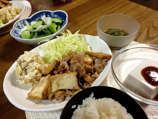 Snapdishの料理写真:豚肉と厚揚げの生姜焼き ツナポテトサラダ 胡麻豆腐 胡瓜と大根とセロリの浅漬け メカブ|あゆみさん