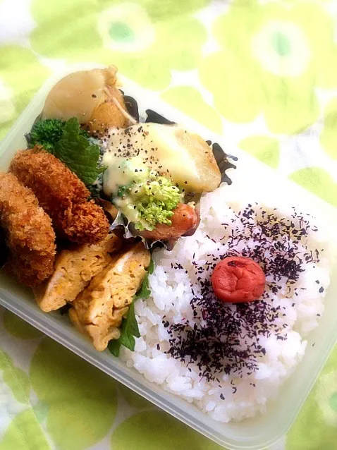 ヒレカツ弁当|いりごまさん